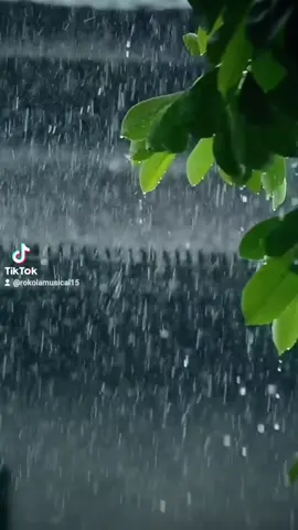 #vallenatosdealama🎶 #paratiiiiiiiiiiiiiiiiiiiiiiiiiiiiiiiiii🦋 #fyp #las lluvia de la tarde💦💦 #fypviraltiktok🖤シ゚☆♡ #losdiablitosdelvallenato🎶💯✔️ fyp#paratiiiiiiiiiiiiiiiiiiiiiiiiiiiiiiiiii🦋 la lluvia de la tarde💦💦💦