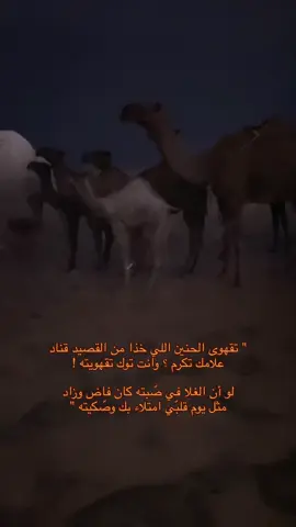 #fyppppppppppppppppppppppp  #ex #explore #الشتاء 