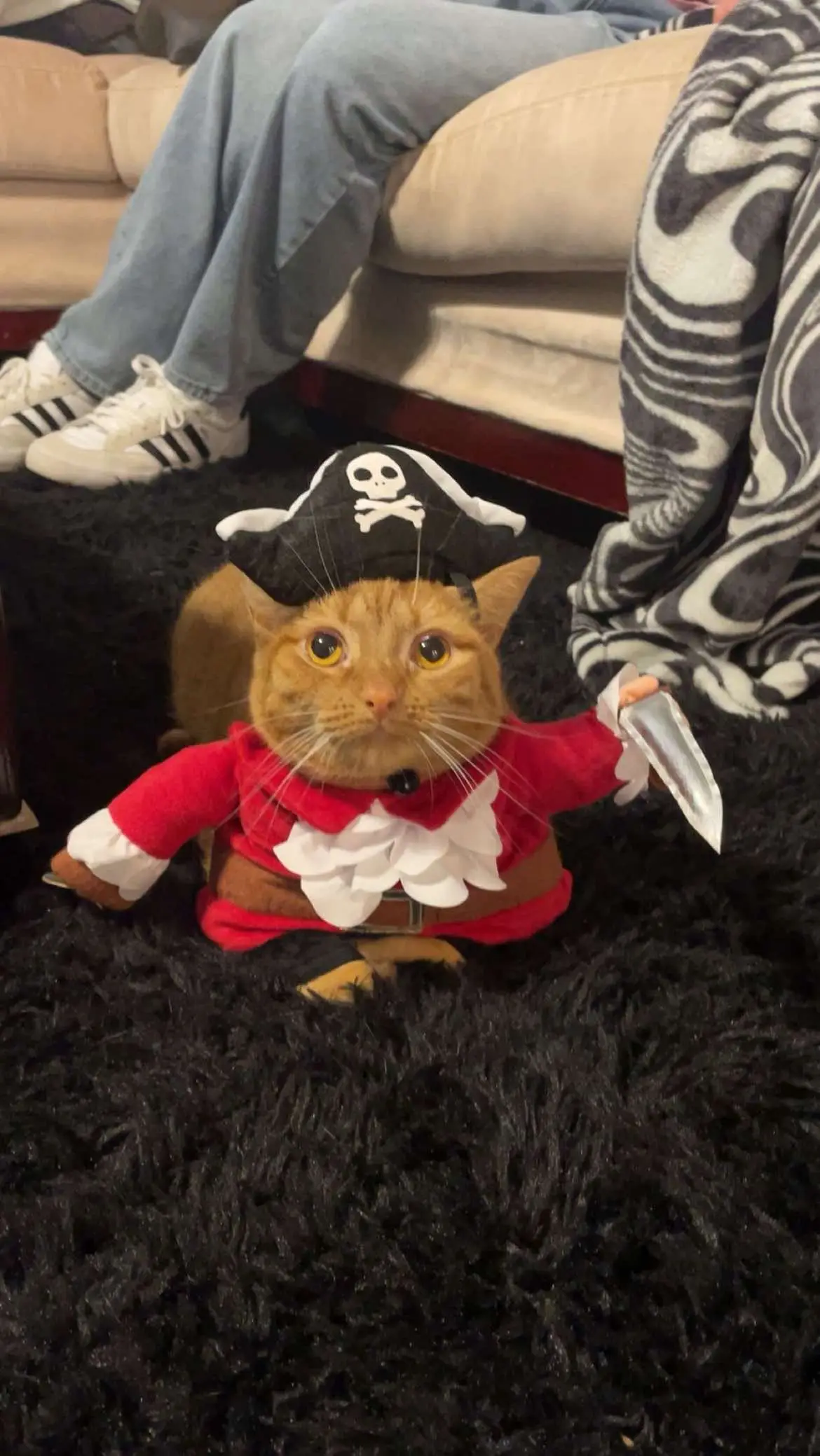 #halloweencostume #pirate #cat #halloween #fypage #fyp 