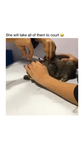 😭❤️ #cats 