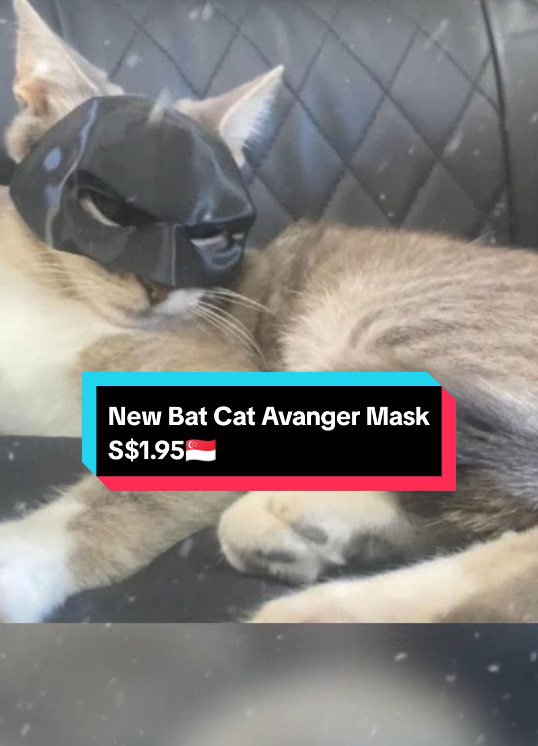 New Bat Cat Avanger Mask Pet Toys S$1.95 - S$2.67 #cat #mask #sg #fyp 