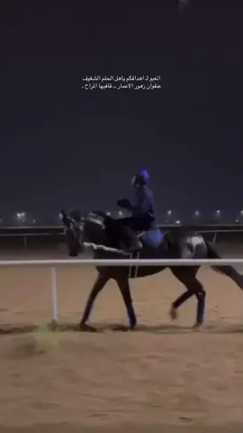 #خيل_وخياله🐎 #خيل_نجران_الاصيله #اكسبلور #خيل #سباقات #تناشيط #شروره #تشغيل #سبوق #ريس #تدريب_خيل #خيل_وخياله #خيل_سباقات✈️🔥 #تصلال #خيل_نجران #خيل_عربي_اصيل 