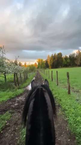 Lo lindo del sur cheee❤️‍🩹🍀#paratiiiiiiiiiiiiiiiiiiiiiiiiiiiiiii #campo #caballos #viral_video #sur #araucaniachile🇨🇱 #lluvia #atardecer 