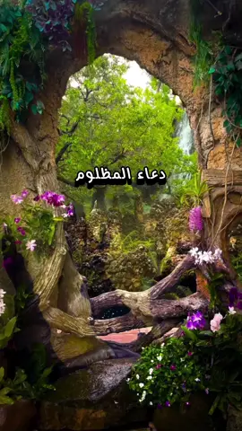 #دعاء_المظلوم_لرد_الحق_والانتصار_على_الظالم #اكتب_شي_توجر_عليه #يارب #دعاء_يريح_القلوب #دعاء_جميل  #ادعية_دينية #اللهم_امين  #اكسبلورexplore #fouryou #fypシ゚viralシ #tiktok #fouryourpage #اكسبلور #tiktokarab #fypシ゚ #الانتشار_السريع #fyp #fouryoupage_tiktok_ #pourtoi  #اللهم_صلي_على_نبينا_محمد 