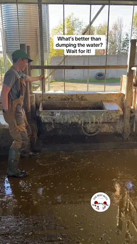 Watching the water fill back up is just as satisfying as dumping it! #the_beef_boys #farm #farmlife #water #fresh #satisfyingvideo #asmr #raisedonafarm #happy #cute #fyp #fyyyyyyyyyyyyyyyy #farmtok #LearnOnTikTok #dairy #watertub #hardworking #fun #farmtok #novascotia 