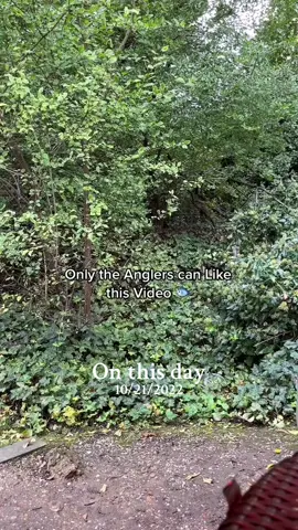 #onthisday 