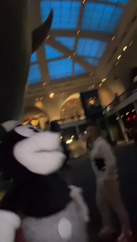 I wanted to go to the Big Naturals museum! #nyc #comedy #funny #mickeymouse #mickey #disney 