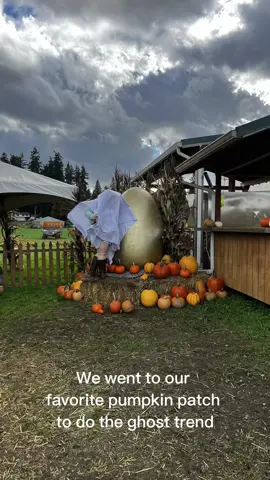 We had such a fun time doing this @Bob's Corn #halloween #ghostphotoshoot #ghost #pumpkinseason #viralvideo  #fyp 