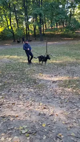 #дагмер #АРЕС 