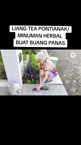 #liangtea #minuman #minumanherbal #tumbuhan #tumbuhanherbal #jijilan #minumanliangtea #buatbuangpanasdalam #minumanbuatbuangpanasdalam #tanamanherbal