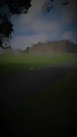 #CapCut 