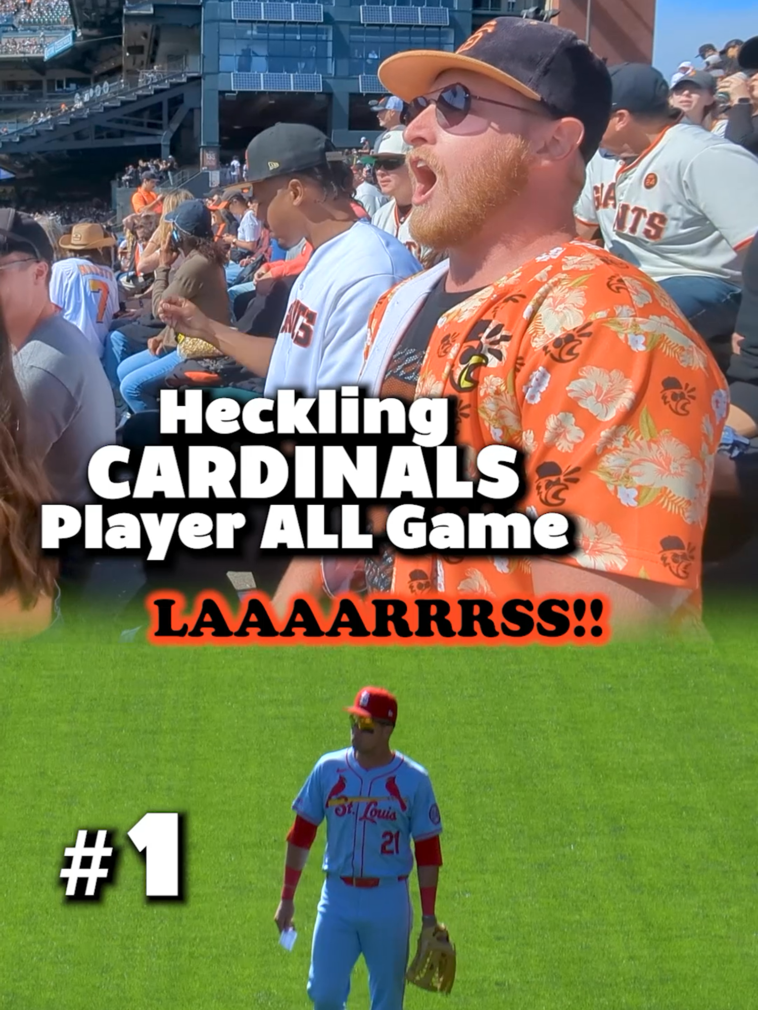 Seven of our favorites for Lars #heckling #baseball #trevschirps #cardinals #giants  @cardinals @sfgiants