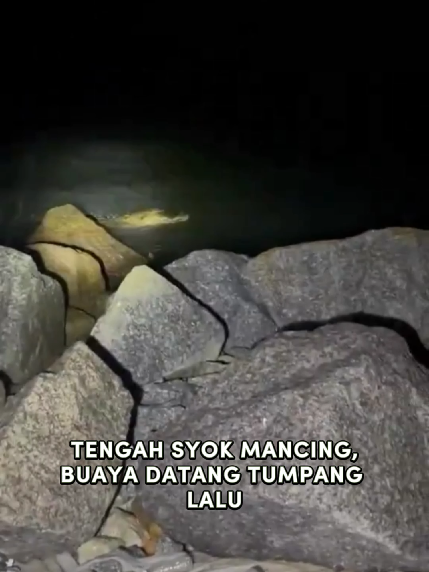 Hati-hati yang memancing tu, lagi-lagi waktu malam. Kejadian di Melaka. Sumber : media sosial #malaysiatribune #buaya #mancing #memancing #buayatimbul #melaka