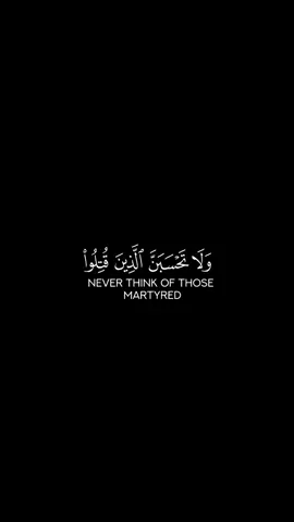 ولا تحسبن الذين قتلوا في سبيل اللّٰه أمواتاً | شاشة سوداء بصوت ياسر الدوسري #اكتب_شي_توجر_عليه #راحة_نفسية #قران_كريم #quran #لايك_متابعه_اكسبلور #مشا