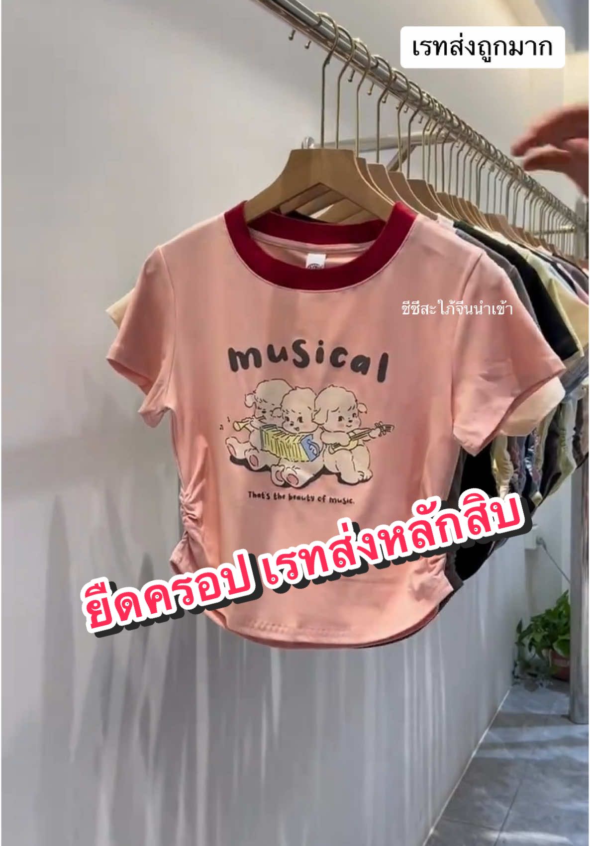 #เสื้อยืด #เสื้อยืดน่ารักๆ #เสื้อยืดผู้หญิง #งานนําเข้า #เสื้ิอผ้าแฟชั่น #เสื้อผ้าสาวอวบ  #สินค้านําเข้าจากจีน ##ชีชีสะไภ้จีนรีวิวทุกอย่าง #สะใภ้จีนแชร์ไอเดีย #เสื้อผ้า 