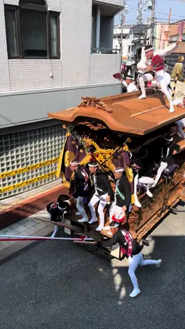 2024岸和田だんじり祭り 大北町 #大阪 #岸和田 #だんじり  #岸和田だんじり #大北町