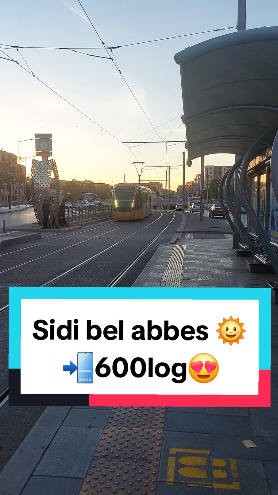 ✅️sidi bel abbes 600log 📲 حي 600 مسكن سيدي بالعباس 😍 #sidibelabbes #sidibelabbes22 #algeria #adembelacel #algeria🇩🇿___maroc___tunisie #بن_حمود 