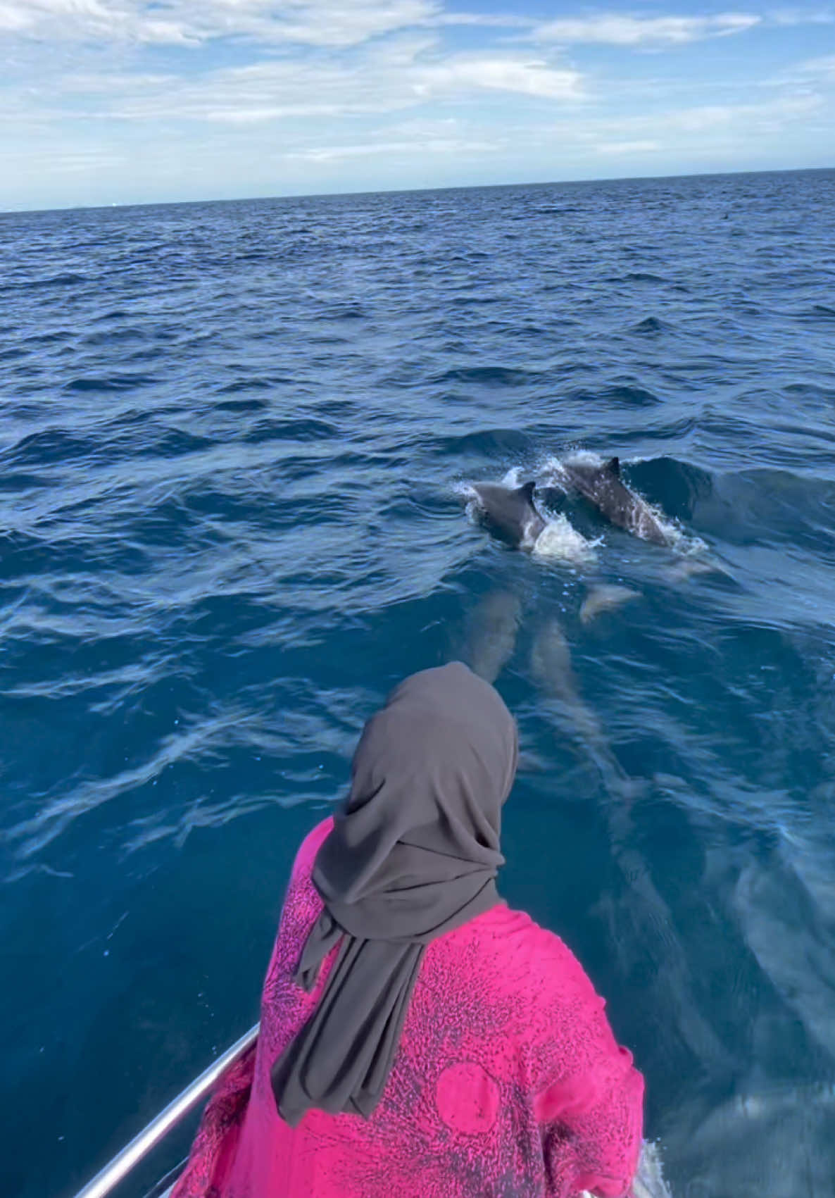 Dont die before you meet dolphin in real life 🤍🐬 Ya allah cantik excited sangat. Anyone nak join jom i nak pegi lagi 😭 #dolphin #sabang #sabangisland 