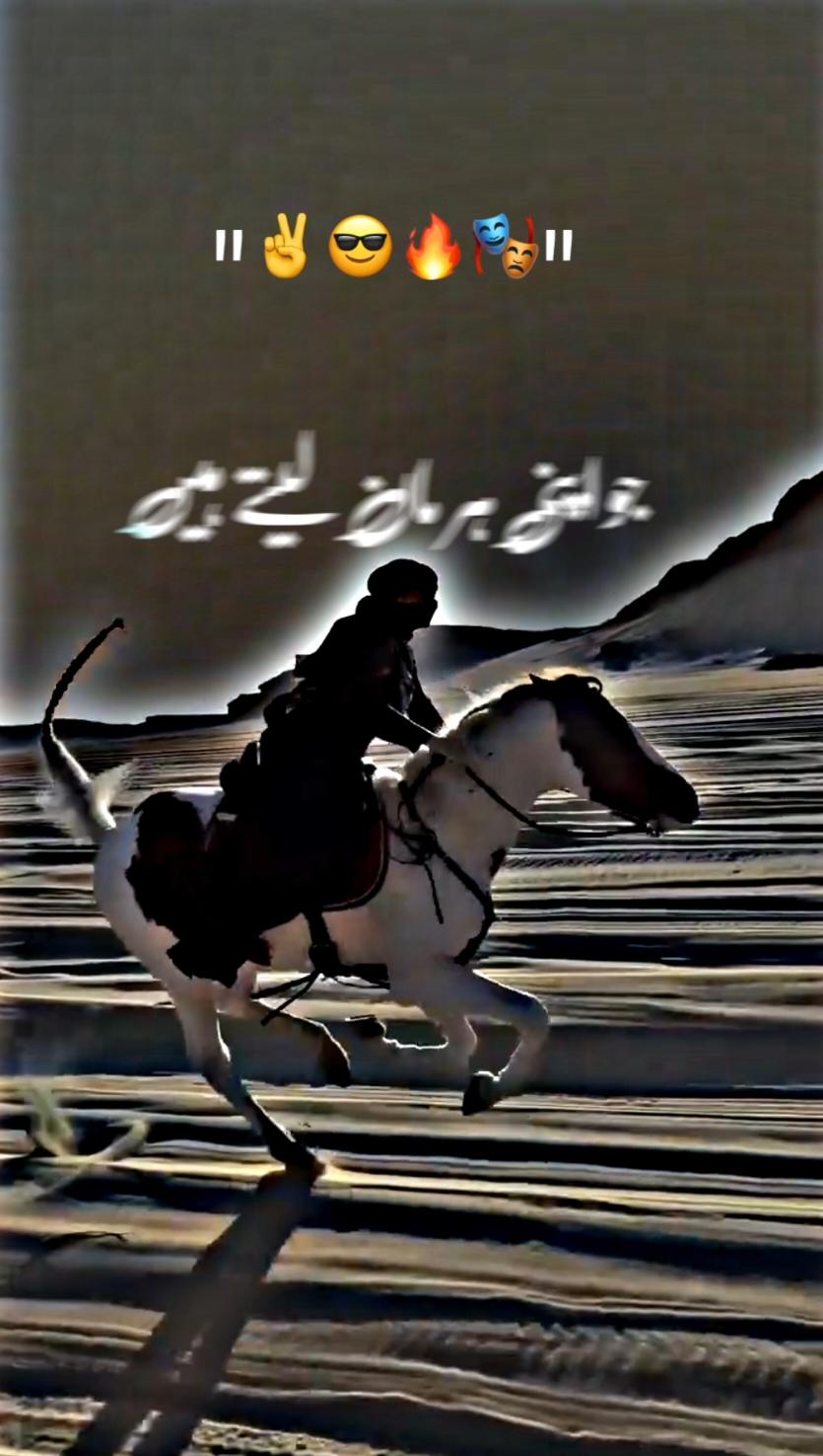 بہادر لوگ کبھی ہارتے نہیں 🔥🎭🫡#foryoupage #🖇️✨🥀💔# #standwithkashmir #fyp #a #500k#poetrystatus #viralmyvideoplztiktok #whatsappstatus #goviral#NotYourAffan#500k 