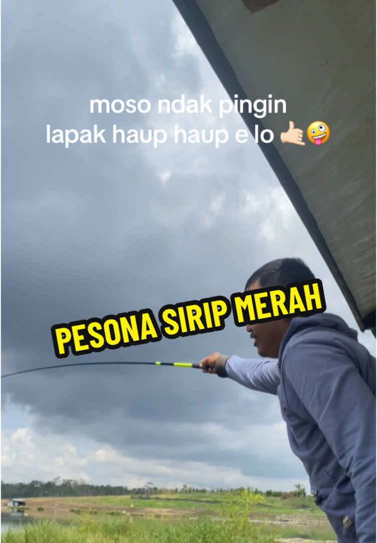 pesona sirip merahh 😁🙌🏻 #mancing #waduk #karangkatesmalang #karangkates #lapak #fy #fyp #fypシ 