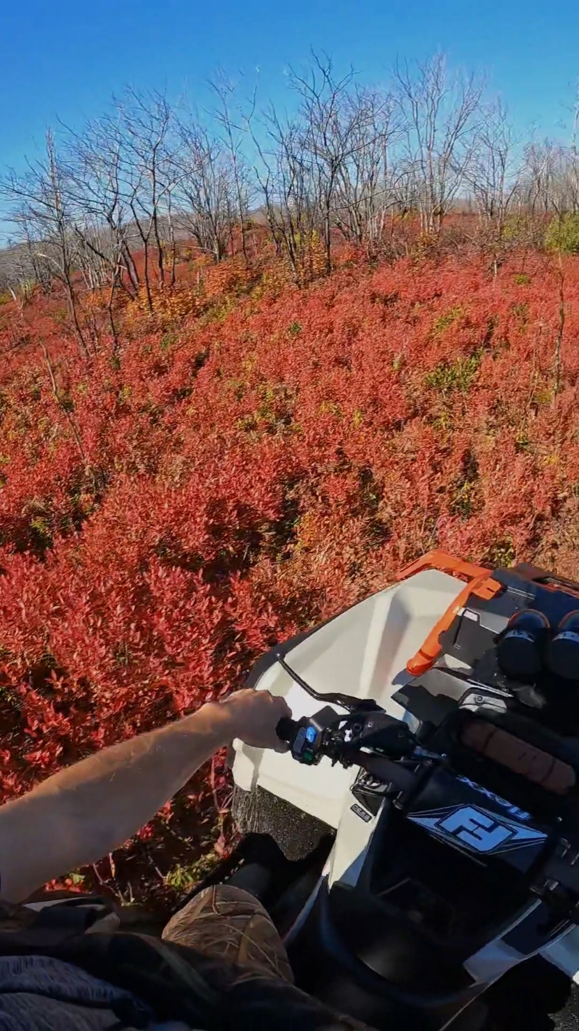 on our way to the swamp #canam #fyp #1000r #brp #atv