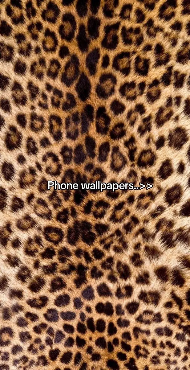 #fryyyyyyyyyyyyyyyyyyyyyyyyy #glamour #bland #tiger #phonewallpaper 