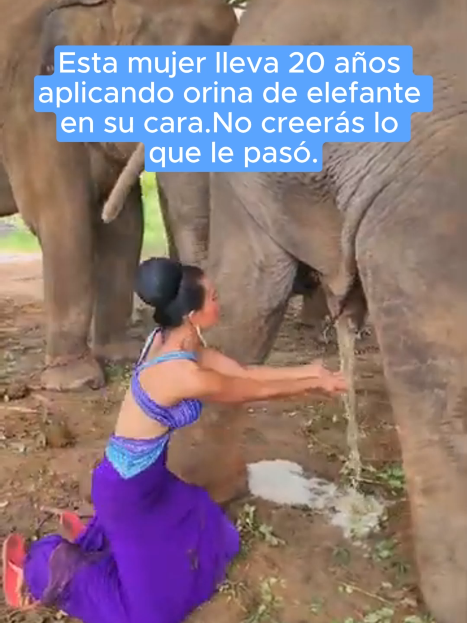 #LearnOnTikTok #history #storytime #historias #historia #usaus #us #true #elephant #elefante #elefantes