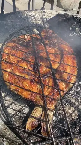 كل ماهو جديد تلكونه في مسكوف ابو زهراء يوجد جميع الاوزان الحجز مفتوح حياكم  العنوان :بعشيقة حي البساتين شارع العام قرب حلاقة الاخوين #مسكوف_ابوزهراء #سمج_سموج #سمج #سمك_مشوي #سمك #سمك_مسكوف_عراقي #العراق🇮🇶 #العراق #العراق_السعوديه_الاردن_الخليج_فلسطين_قطر 