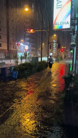 Rainy Night in Tokyo🇯🇵 #foryou #foryoupage #japan #anime #animefan #parvesintokyo #japanlover #traveljapan #rain #rainy #rainynight #雨 