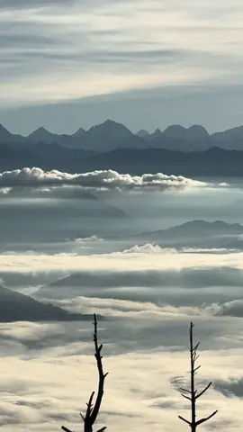 Above the Clouds Nagarkot#panoramaic View #Everest, Gaurishankar, langtang, annapurana#Resticted Area Above Ranger#Explore Nagarkot##Video By Nabin Gurung# #@Mount Everest Hotel and Resort @Hotel Nagarkot Holiday Inn @Chhewang Lama @Kusum Lama @Dambar Lama @Hotel Mystic Mountain @Routine Of Nagarkot @Dhiraj waiba 