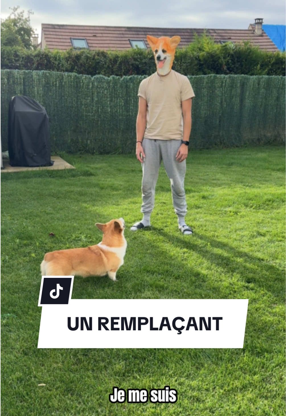 Merci d’accueillir Laid-mon comme il se doit 🤪 #creepymask #chiensurtiktok #corgi #masquehalloween 