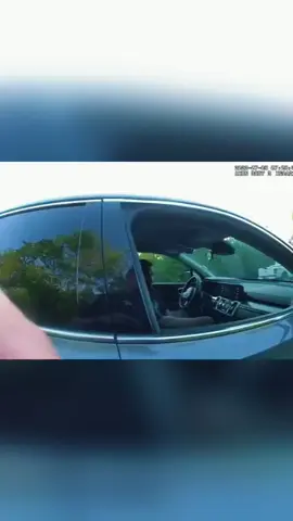 Traffic stop ends felons multi state crime spree #cops #police #fyb