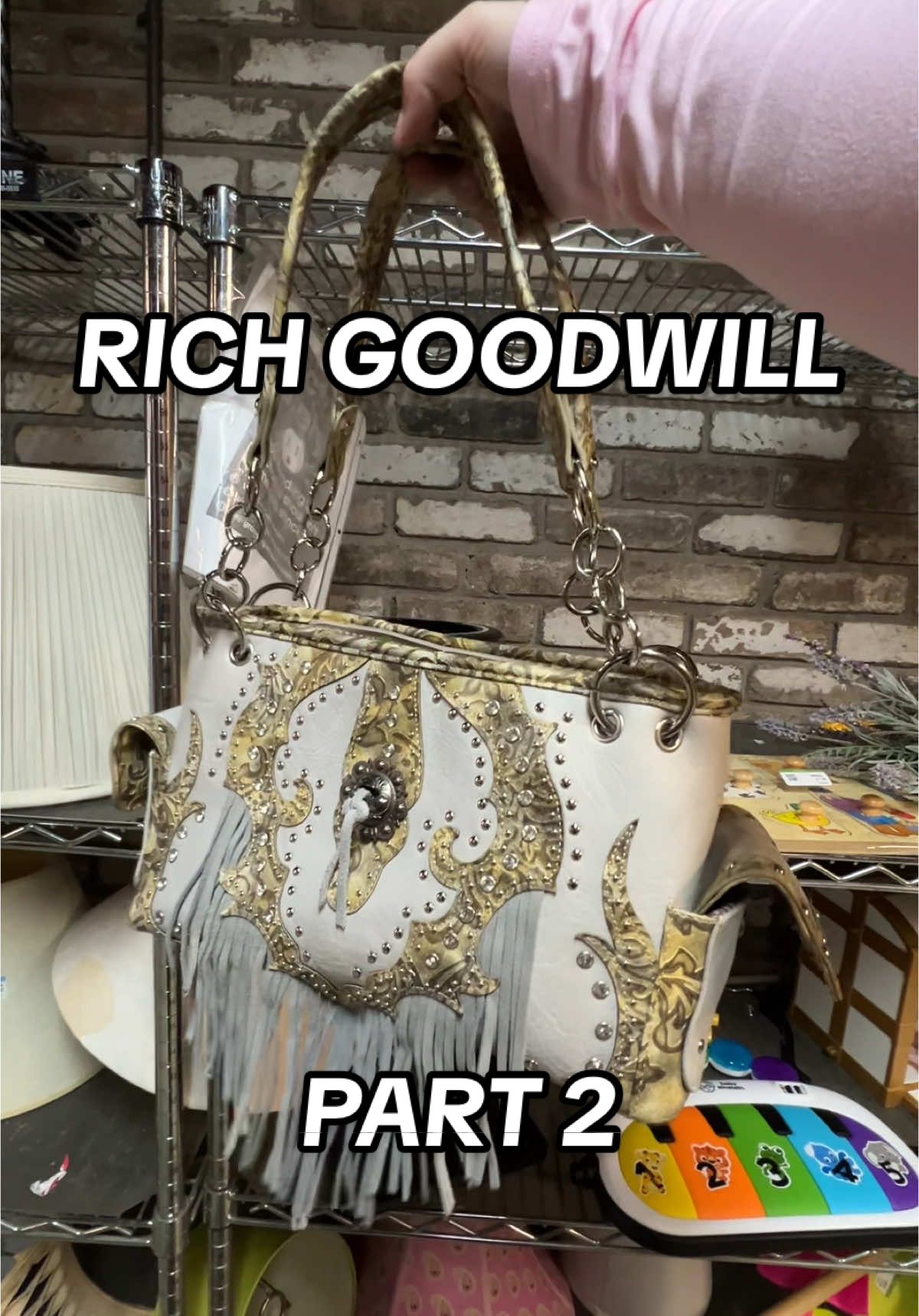 THE BAG AT THE END?!? omg??  #goodwill #thrifting #richcity #mississippi #goodwillfinds 