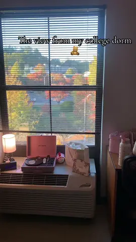 Sometimes I actually like attending wcu #coquetteaesthetic #coquette #fall #autumn #rorygilmore #gilmoregirls 