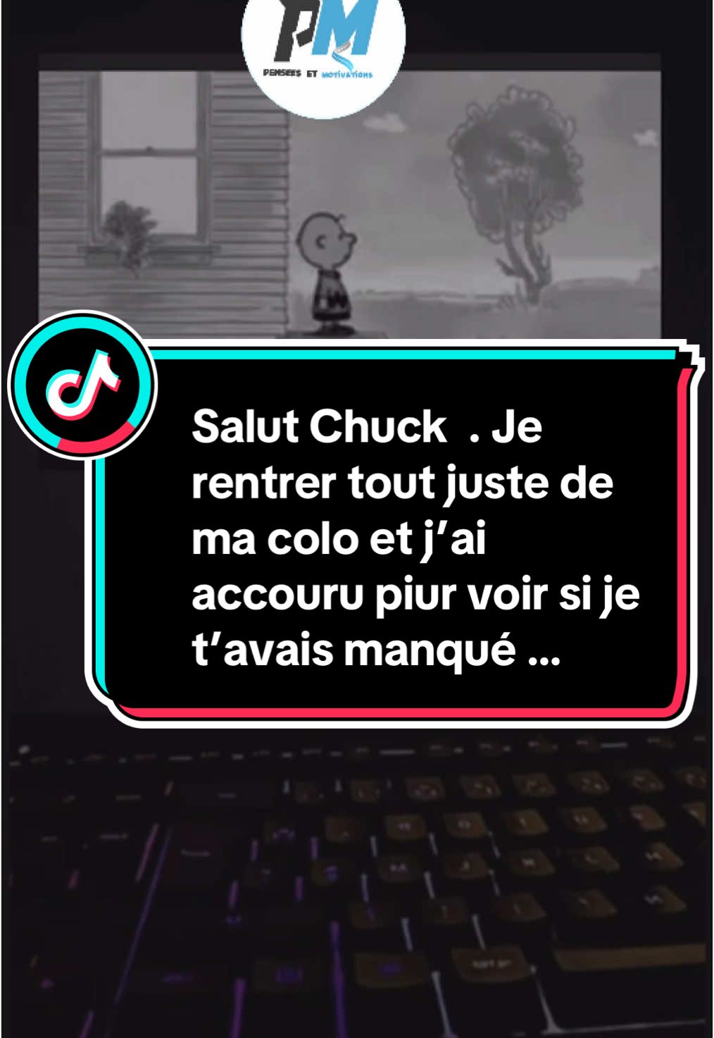 Salut Chuck  . Je  rentrer tout juste de ma colo et j’ai accouru piur voir si je t’avais manqué …#animee #snoopy #chuck #animation #amour #aimer #fille #garcon 