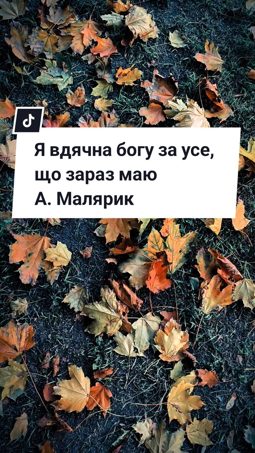 Я вдячна богу за усе, що зараз маю_А. Малярик #слухайукраїнське #поезія #життя_як_воно_є #ші 