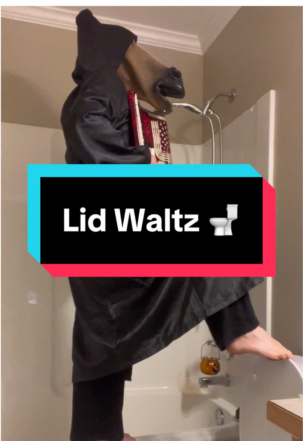 Lid Waltz  #funny #toiletseat #accordion #balance #pumpkin #lidwaltz #waltz #musician #talent 