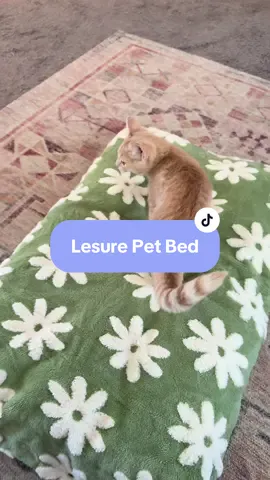 The animals love it! If you have a pet, you need one! #lesurepet #dogsoftiktok #catsoftiktok #TikTokShopBlackFriday #TikTokShopCyberMonday #TikTokShopHolidayHaul #petsoftikttok 