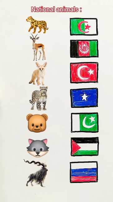 National animals of 🇩🇿 🇹🇷 🇦🇫 🇵🇰 🇷🇺 🇸🇴 🇵🇸 #tiktok #flags #tiktokviral #worldwide #tiktokworld #pakistan #turkey #algeria #somalia #russia #afghanistan #world 