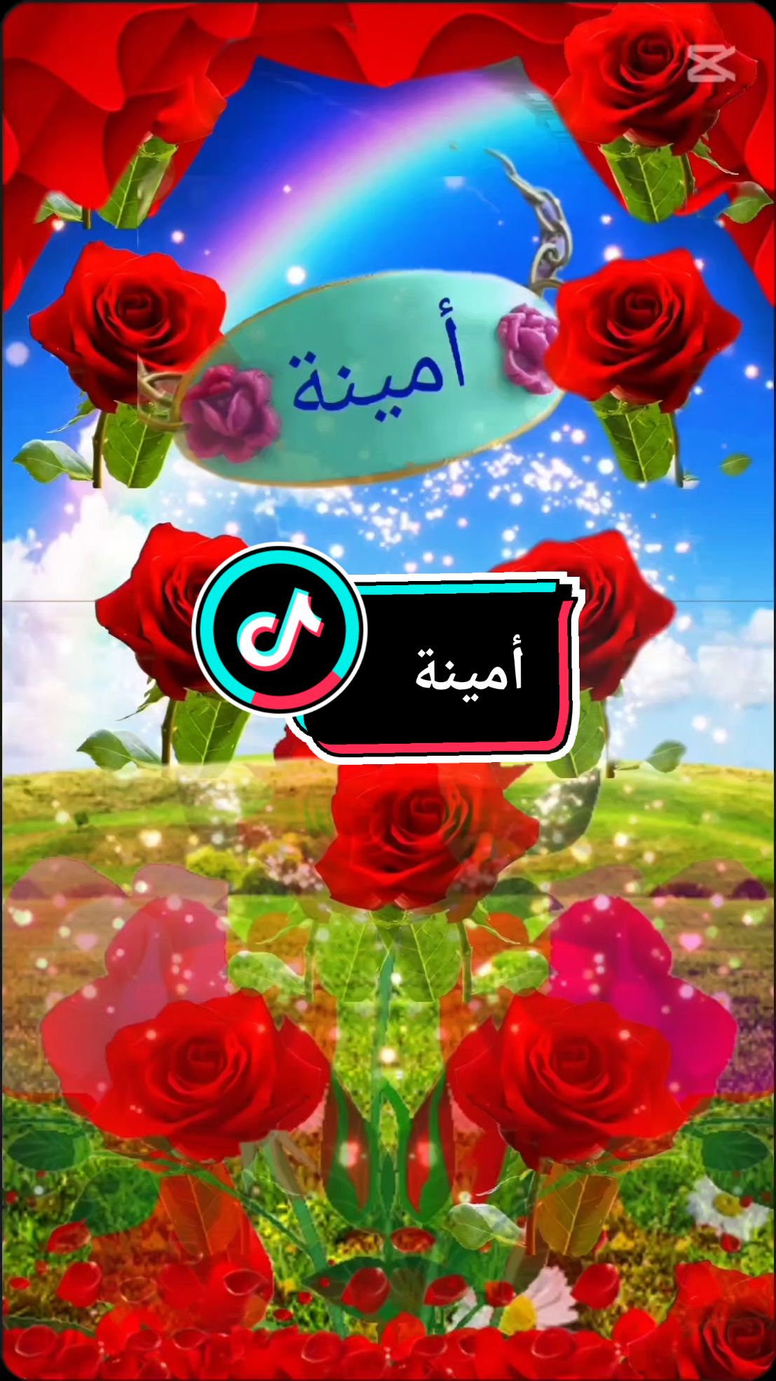 الرد على @oum.mayre إسم أمينة #اكسبلور #fyp #video #tiktokindia #dúo #fy 