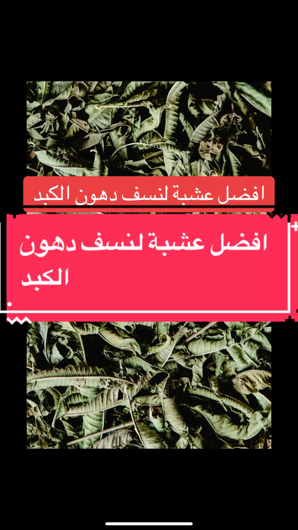 افضل عشبة لنسف دهون الكبد#وصفات #وصفات_طبيعية #اكسبلورexplore #france🇫🇷 #fyfyfyfyfyfyfyfyfyfyfyfyfyfyfyfyfyfy #الشعب_الصيني_ماله_حل😂😂 