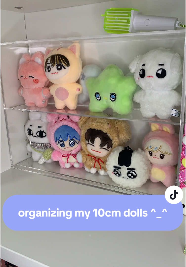 im gonna have to get another case soon bc i have more 10cms coming 😅 #kpopplushie #10cmdoll #nct  #nctzen #kawaiiaesthetic #bagcharms #wichu #plushies  #creatorsearchinsights 