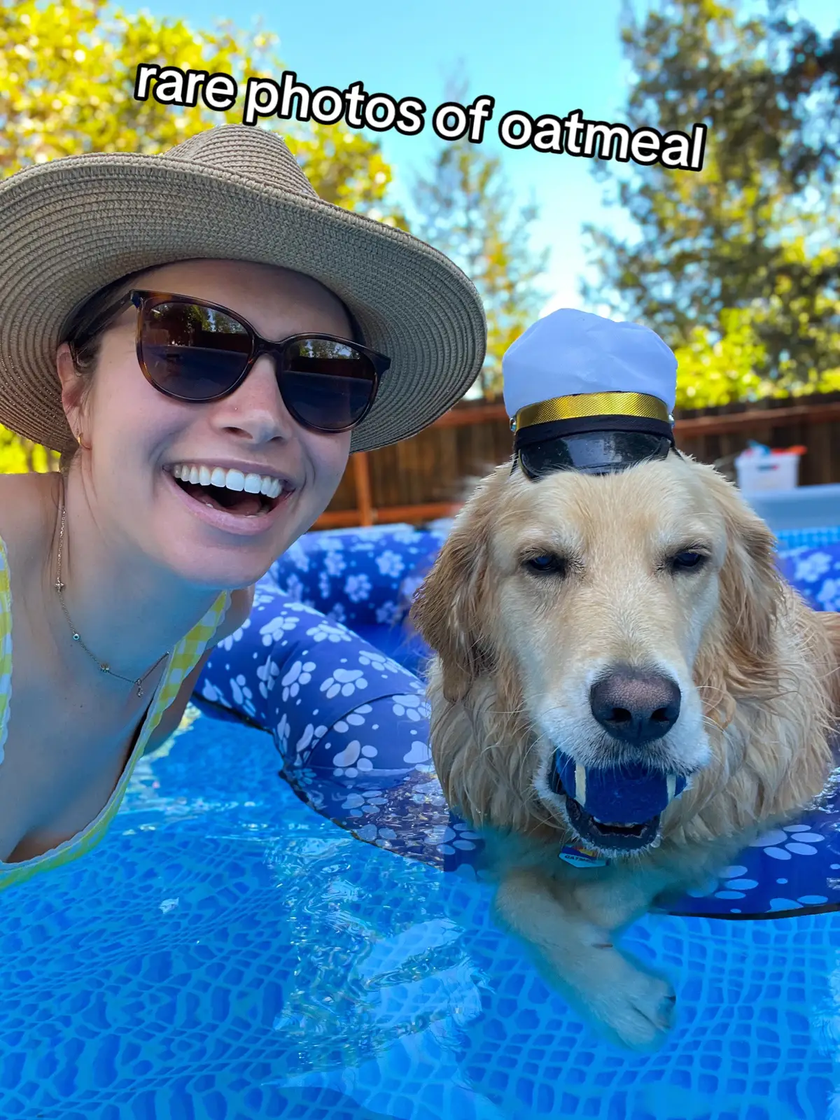 …of mr kitty paws and his misclaneous adventures. Wait, how do you spell misclaneous? My phone says thats incorrect but it wont offer me a replacement? You know what, its fine. You know what i mean.  #dogadventures #pooltime #funnydog 