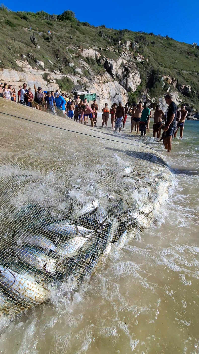 Muito Peixe na Rede dos Pescadores da Praia Grande em Arraial do Cabo Rj Brasil 🇧🇷   #turismo  #ferias  #viajar  #mar  #praia  #aguascristalinas  #viral  #arraialdocabo  #caribebrasileiro  #arraialdocabocaribebrasileiro  #praiagrande  #deckdospescadores  #orlaflaviaalessandra  #rj  #riodejaneuro  #brasil  #mundo  #pesca  #pescador  #arrasto  #arrastão  #pescaria  #tiktok 