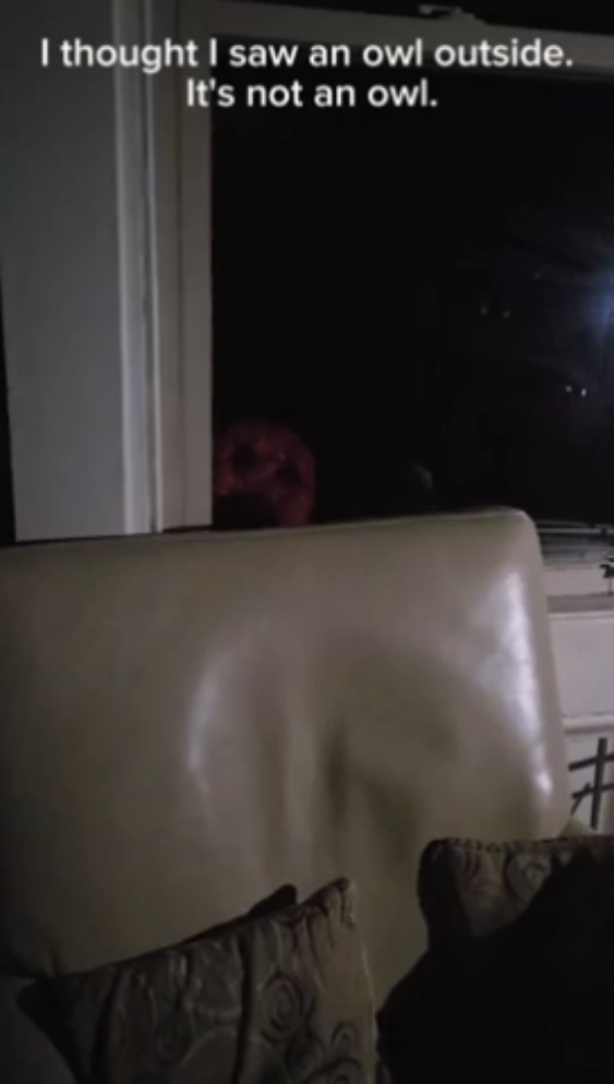 Creepy Creature Outside The Window #scary #creepy #horror #cryptid #paranormal 