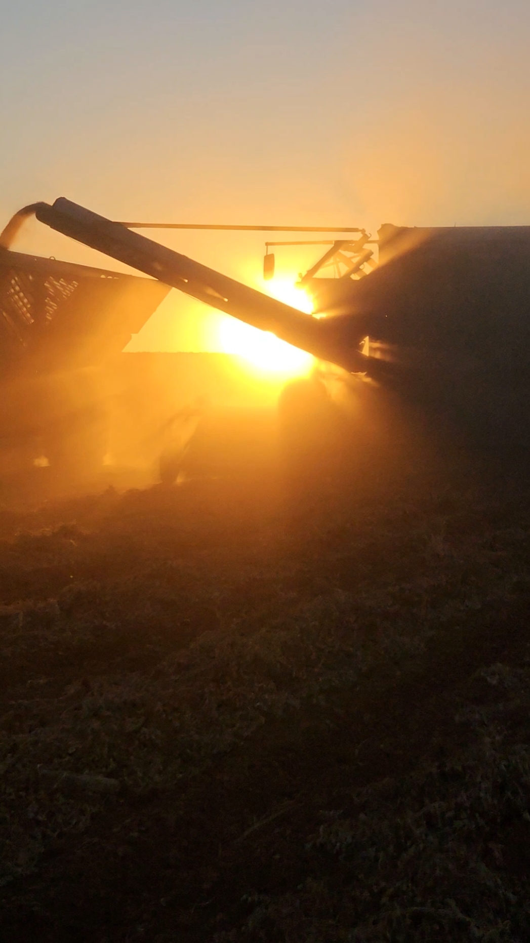 peanut harvest #peanuts #agriculture #farmtok #tractor #johndeere #tractorsoftiktok #farm 