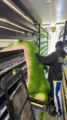 Malcolm harvesting a slab of hydroponic fodder. Each tray weighs around 120 lbs. #fodder #farmlife #farming #ranch #ranching #hydroponics #explore #explorepage #cea #agtech #barleygrass #livestock #feed 