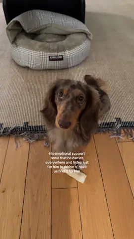 Leo became a needy doggo