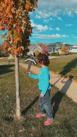 My son Bodhi asked to make some Minecraft in Real Life TikToks. PART 1 #bodhi #Minecraft
