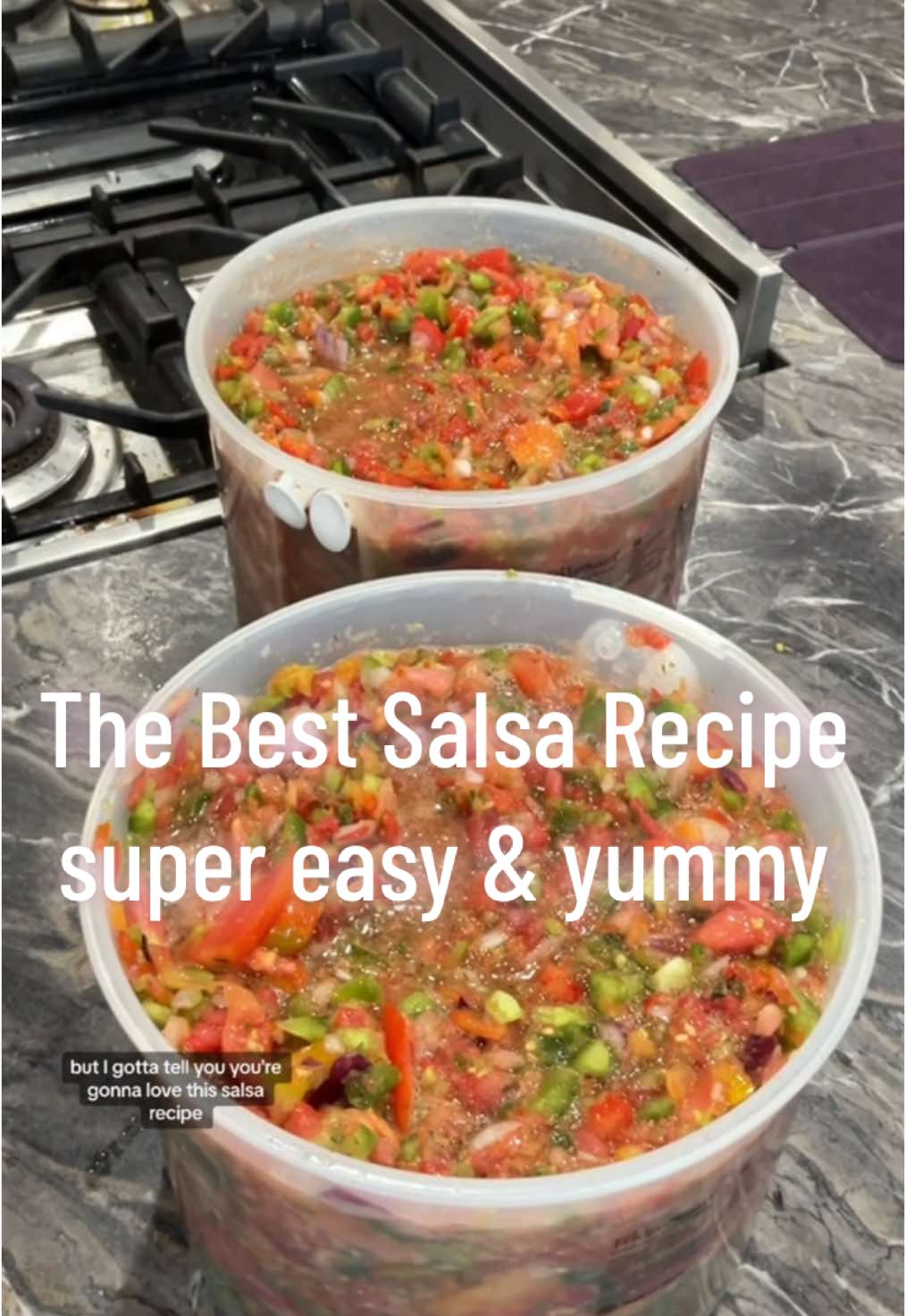 THiS SALSA RECiPE is super easy to make and it’s absolutely AMAZiNG!!! #justthebells10 #bigfamilylife #gardeningtips #EasyRecipe #salsaverde #freshveggies #fallvibes   